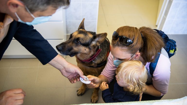 Napi cuki: bemutatjuk a háziorvost, aki évek óta a kutyájával együtt rendel