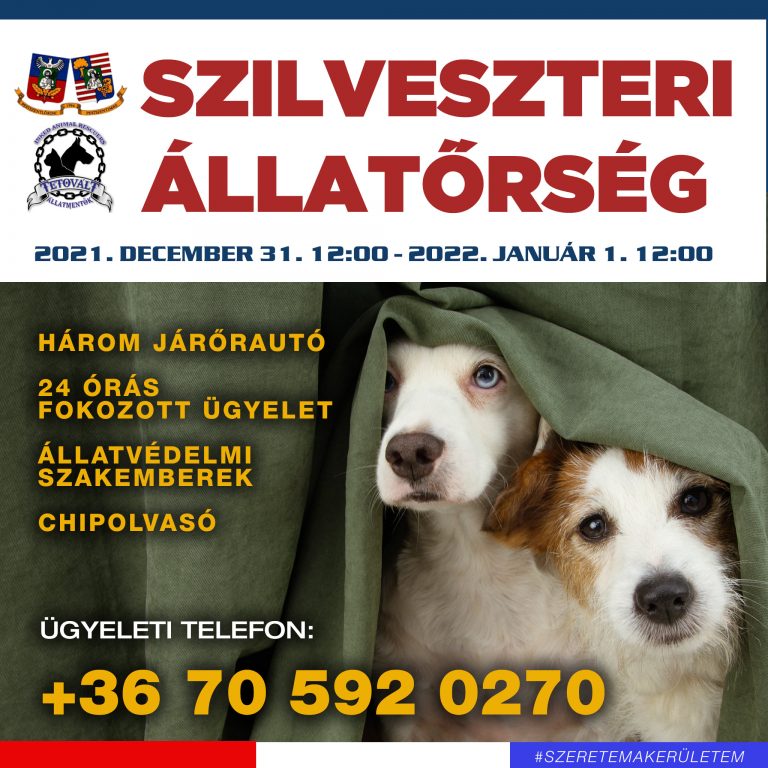 Szilveszteri ügyeletet a 18. kerületi kedvencek védelme érdekében december 31 és január 1.  között!