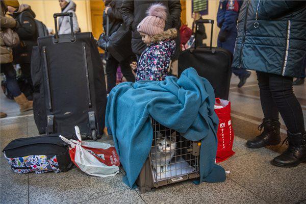 Orosz-ukrán háború: szavazóink több mint fele segíti valamilyen módon az ukrán menekülteket