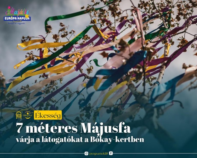 7 méteres májusfa áll a Bókay-kertben