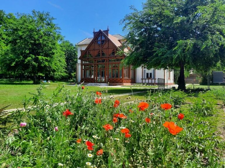 Töltődő nyárünnep a múzeumkertben