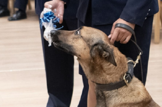 Kitüntették Főnököt, aki különleges ajándékot is kapott a nemzeti ünnepen