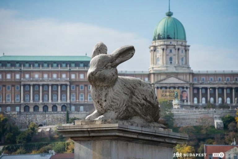 Nem semmi: lecserélték a Lánchíd kőoroszlánját nyúlra!