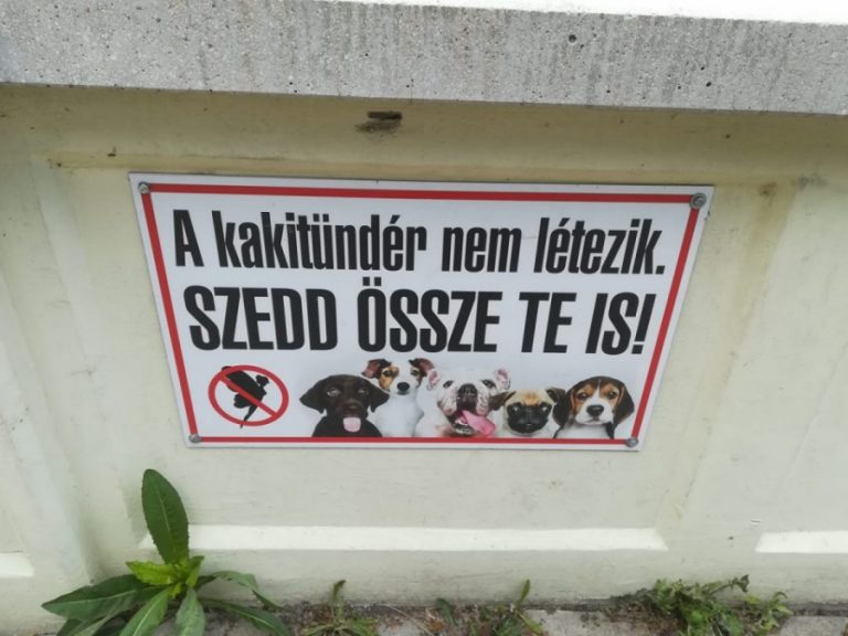 A kakitündér nem létezik – Szedd össze Te is