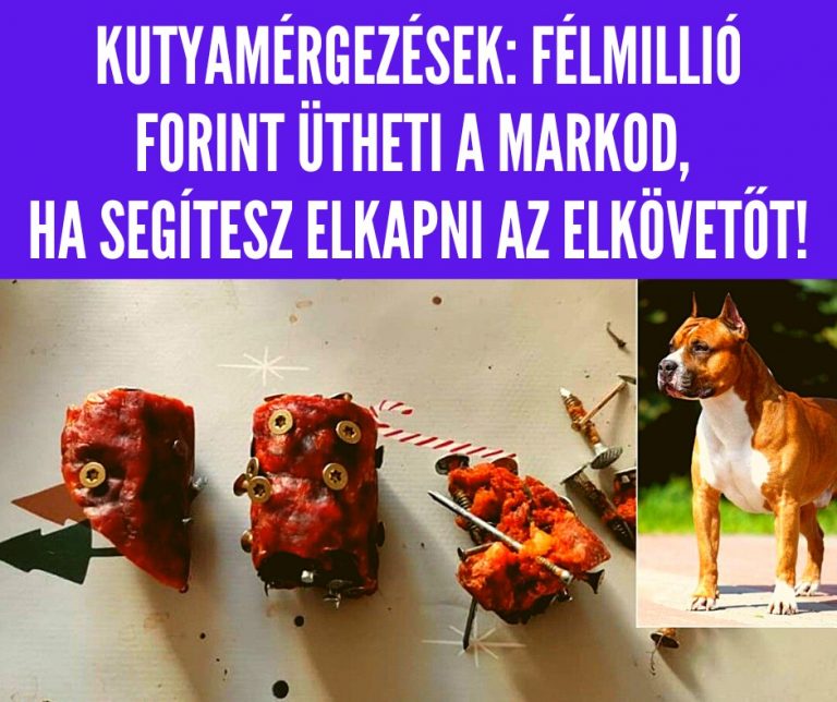 Félmillió forint nyomravezetői díj a XVIII. kerületben