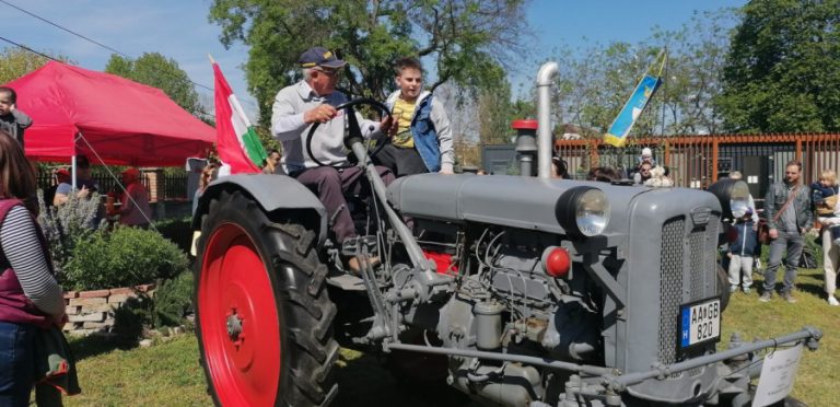 Bókay kert: elkezdődött a majális!